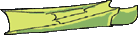 fin